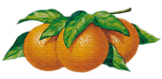fruit - ücretsiz png
