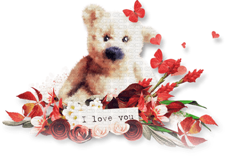 soave deco valentine flowerstoy bear text - Free PNG