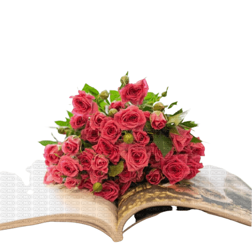 flower,rose, book - png gratuito