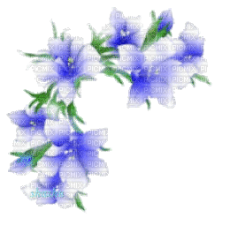 Орнамент цветочков - Darmowy animowany GIF