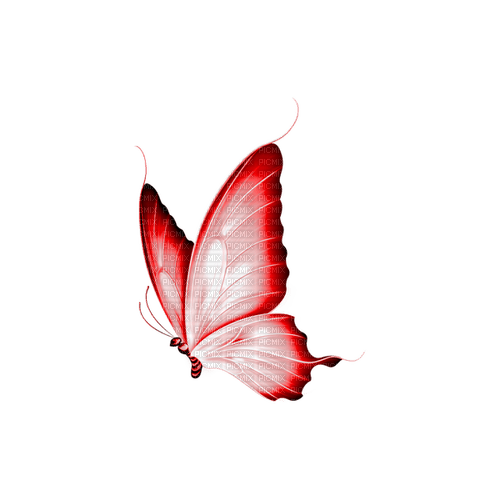 kikkapink deco scrap pink butterfly - png grátis
