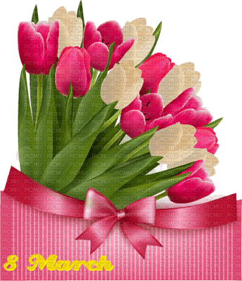 Tulips Pink White Woman's Day March  - Bogusia - gratis png