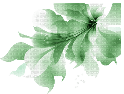 Flower, Flowers, Green 2, Deco, Decoration - Jitter.Bug.Girl - 無料png