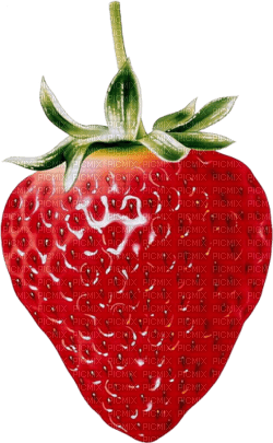 Erdbeere - png ฟรี