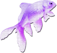soave deco summer fish scrap orange purple - png ฟรี