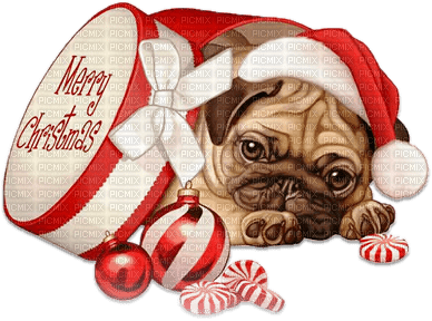 soave animals dog christmas winter brown red - png ฟรี