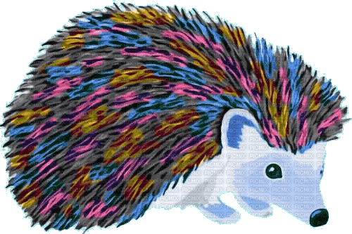 nbl-hedgehog - Free PNG