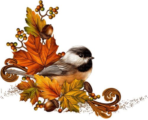 autumn deco bird Bb2 - png ฟรี