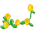 Yellow Roses - GIF animé gratuit