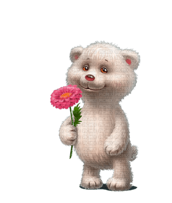 Gif ourson fleur - png gratuito