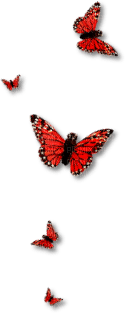 butterflies katrin - darmowe png