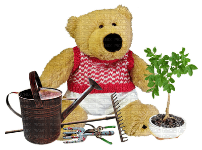 teddy bear, nalle - PNG gratuit