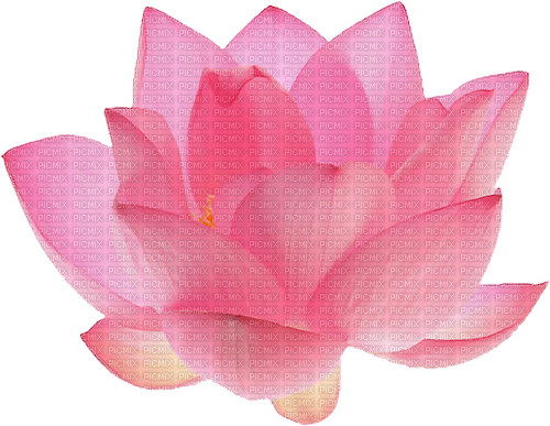 Lotusblüte - nemokama png