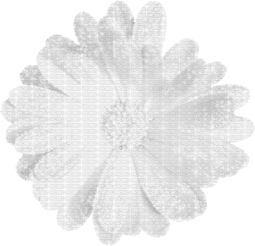 Flower.White.Animated - KittyKatLuv65 - Nemokamas animacinis gif