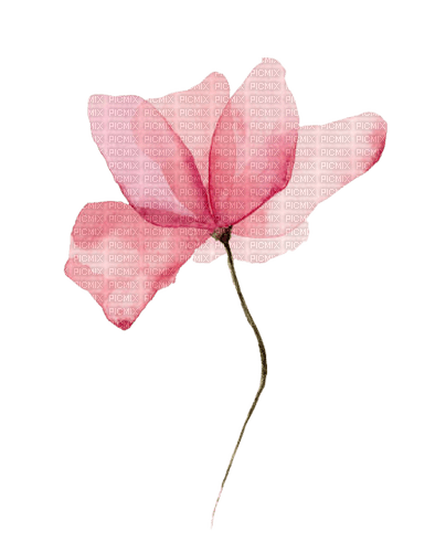 kikkapink deco spring summer flower watercolor - PNG gratuit