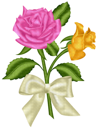 Fleur Rose Jaune Ruban Blanc:) - zadarmo png