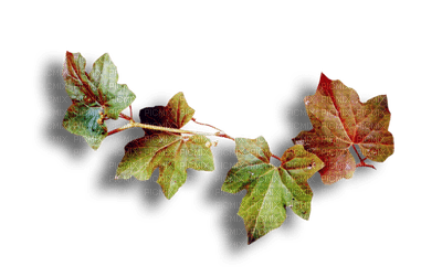 AUTUMN LEAVES border-- automne feuilles deco - png ฟรี