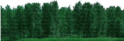 Wald - Ingyenes animált GIF
