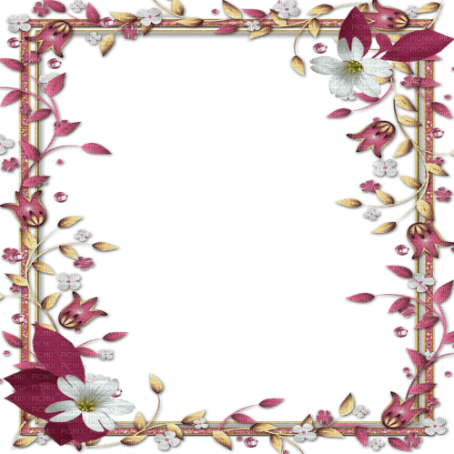 pink flower frame cadre rose fleur