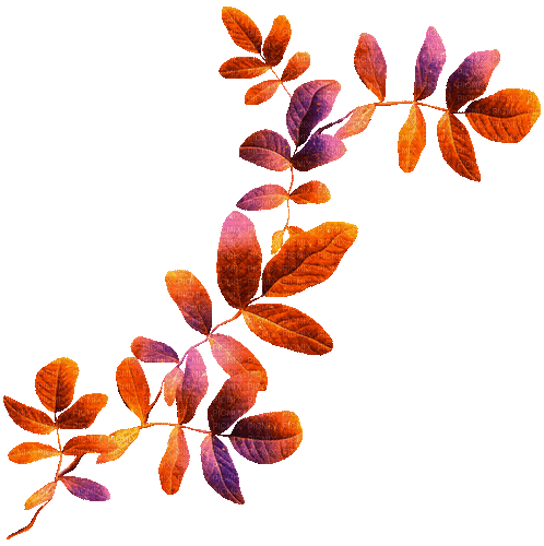 Leaves.Purple.Orange.Animated - KittyKatLuv65 - Zdarma animovaný GIF