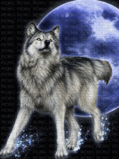moon wolf - Gratis animeret GIF