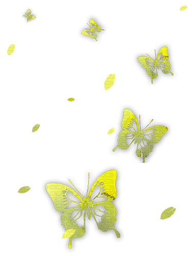 Y.A.M._Summer butterfly - png gratuito