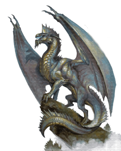 grey dragon by nataliplus - png gratis