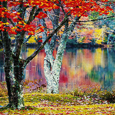 soave background animated autumn forest  tree - Besplatni animirani GIF