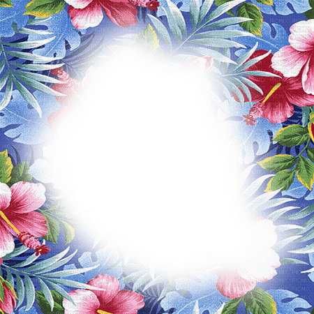 dolceluna frame tropical summer blue pink - δωρεάν png