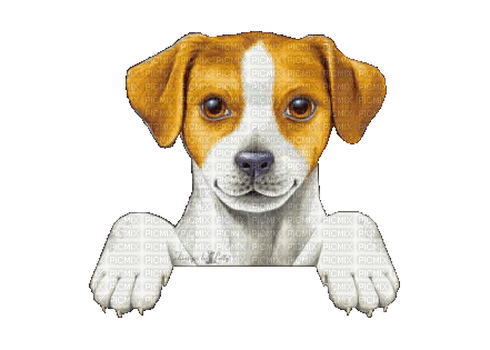 animated dog - Gratis geanimeerde GIF