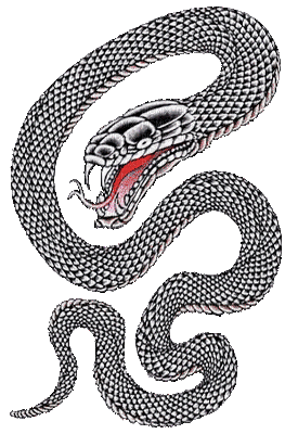 serpent HD - Ingyenes animált GIF