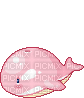 pink love whale - Animovaný GIF zadarmo