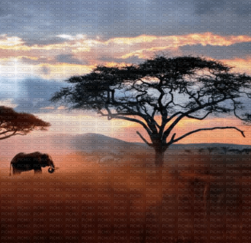 Rena Hintergrund Afrika Savanne - png grátis