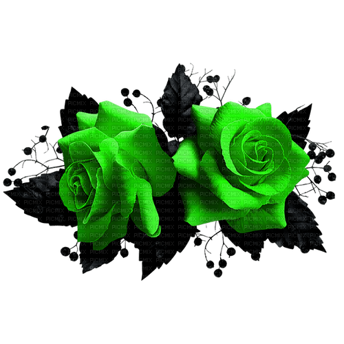 Gothic.Roses.Black.Green - Free PNG