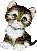chaton - Безплатен анимиран GIF