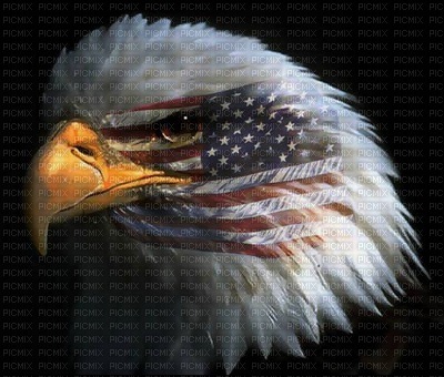 Eagle Head w Flag JPEG - gratis png