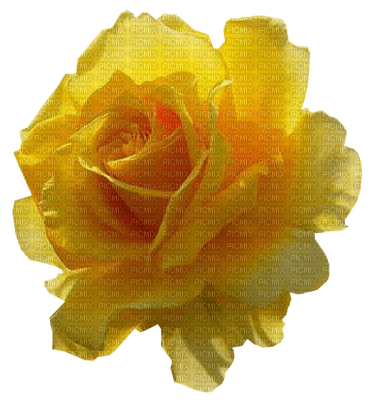 rosa amarela-l - nemokama png