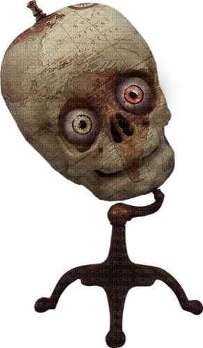 skull by nataliplus - darmowe png