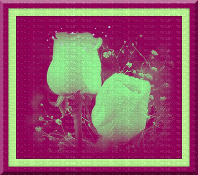 En rose - Δωρεάν κινούμενο GIF