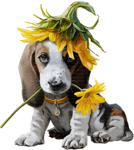 El Perro con flores - zdarma png