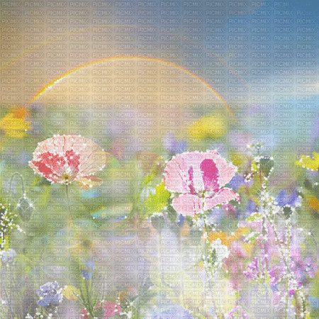 kikkapink background spring flowers field - Ingyenes animált GIF