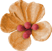 Flower Blume orange red - δωρεάν png