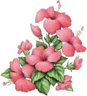soave deco flowers summer tropical branch - бесплатно png