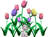 Gifs fleurs-animaux - 無料のアニメーション GIF