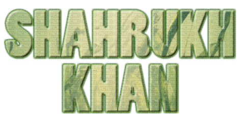 gala Shahrukh Khan - ücretsiz png