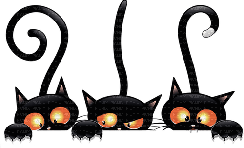 black cats Bb2 - darmowe png