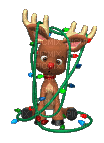 cute reindeer - GIF animate gratis