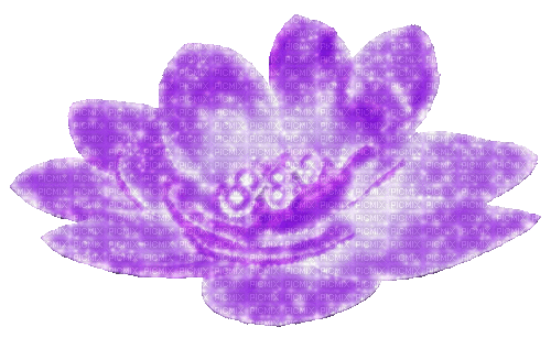 Animated.Flower.Pearls.Purple - By KittyKatLuv65 - Бесплатный анимированный гифка