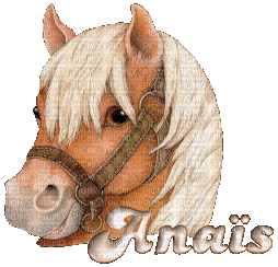 First name  Anaïs - GIF animé gratuit