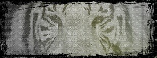 tigre swag - 無料png